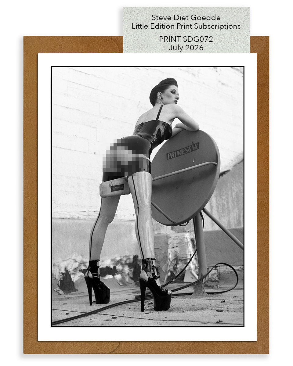 SDG Subscription Prints PREMIUM
