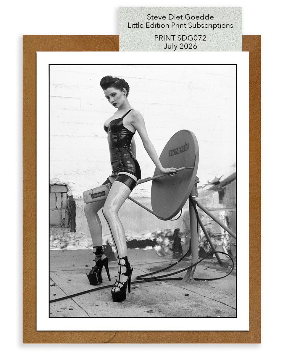 SDG Subscription Prints