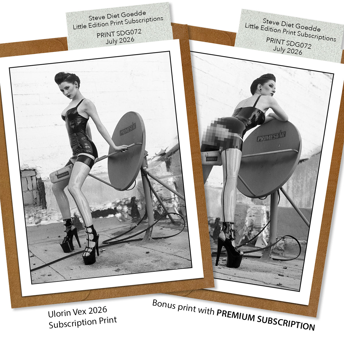 SDG Subscription Prints